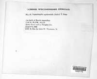 Image Associated With the Occurence